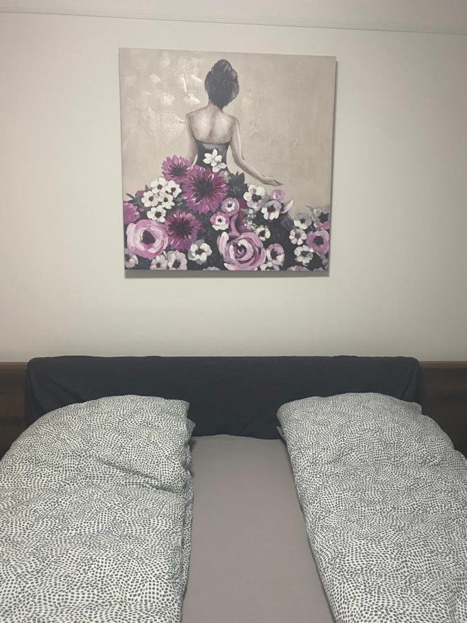 Tatra By The Danube Fully Accessible Apartment Budapest